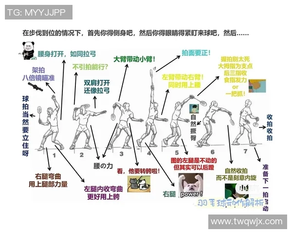 从零基础到高手之路:全面解析羽毛球战术与技巧的实用指南 从零基础到高手之路:全面解析羽毛球战术与技巧的实用指南