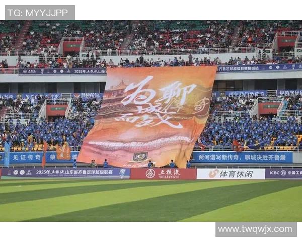 足球明星齐聚助力河南振兴共同为家乡的未来加油助威 足球明星齐聚助力河南振兴共同为家乡的未来加油助威